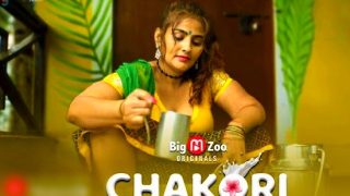 Chakori – 2021 – Hindi Hot Web Series – BigMovieZoo